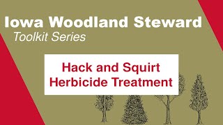 Hack and Squirt Herbicide Treatment Iowa Woodland Steward Toolkit Series [upl. by Ahsimot333]