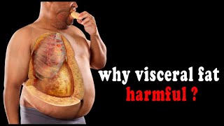 LipoMelt  Dangers of Visceral Fat [upl. by Naeroled]