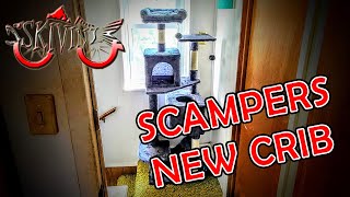 Scampers has a new House [upl. by Remmer]