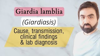 Lec4  Giardia lambliaIntestinalis  Transmission  Pathogenesis  Lab diagnosis  urduHindi [upl. by Lucy730]