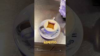 L’affogato al caffè più famoso del Mondo food [upl. by Ahsai850]