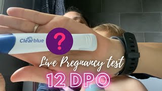 I took a digital pregnancy test…  12dpo Live Pregnancy Test [upl. by Anner93]