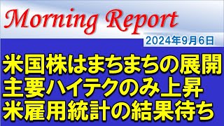 【モーニングレポート】米国株はまちまちの展開！主要ハイテク株のみが上昇！米雇用統計の結果待ち！ [upl. by Ahseina]