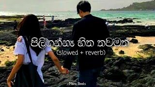 පිලිගන්නෑ හිත තවමත්  බොහෝ කලක් ඔයා  song  Boho Kalak Oya slowed  reverb song  Milex Beats [upl. by Veal]