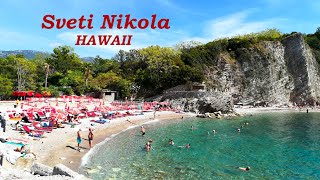 Wycieczka statkiem Petrovac  Sveti Stefan  Budva  Sveti Nikola HAWAII Czarnogóra  WARTO [upl. by Seugirdor]