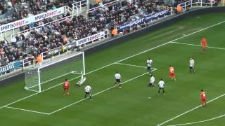 Borini goal vs Newcastle [upl. by Rehotsirk]