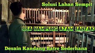 Pemuda Ini Sukses Besar Beternak Ayam Kampung di Lahan Sempit dgn Desain Kandang Batre Sederhana Ini [upl. by Matrona]