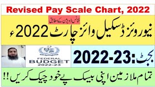 Revised Pay Scale Chart 2022  Formula for calculation of own pay after revised chart 2022 [upl. by Niwdog]