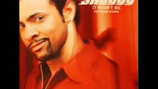 SHAGGY amp RIKROK  IT WASNT ME VOCAL  IT WASNT ME INSTRUMENTAL [upl. by Biddick]