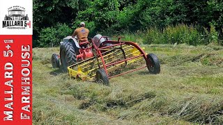 Baling Hay 2024  Our Hay Making Journey SHORT VIDEO [upl. by Susanna]