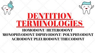 Homodont  Heterodont  Acrodont  Thecodont  Pleurodont  Monophyodont  Diphyodont  Polyphyodont [upl. by Atteuqehs]