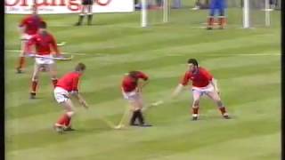 Shinty Camanachd Cup Final 1988  Kingussie v Glenurquhart [upl. by Owiat568]