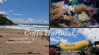 East Coast Adventures  Ep 13 Coffs Harbour [upl. by Rhonda]