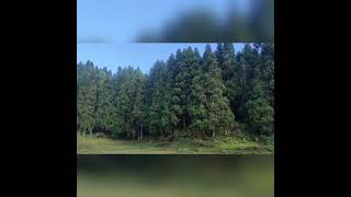 Our first vlog🥰🥰 shorts viralvideonaruresitonglove natureloversanupamroy journey [upl. by Martha233]