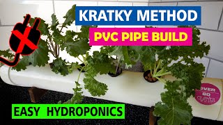 How to build a Kratky Hydroponic SystemUsing pvc [upl. by Teria]