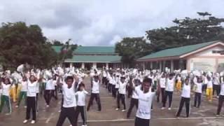 Mobo National High School Nestle Wellness Dance [upl. by Manfred455]