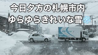 札幌雪きれいな雪❄️ もういらない？ [upl. by Orvah]