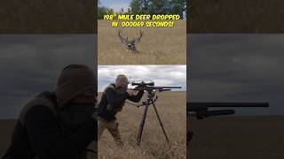 198” Mule Deer Dropped in 000069 Seconds [upl. by Kalk]