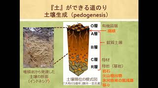 農学部生物資源科学科 模擬授業「足元に広がる宇宙」 早川智恵 [upl. by Ardnahcal]