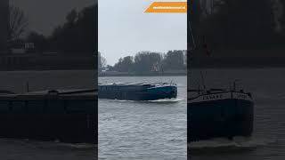 Binnenvaartschip Levant Antwerpen op de Schelde wereldvandebinnenvaart binnenvaart scheepvaart [upl. by Vevina]