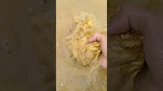 got muddy gold and i washed it goldhunter golddiscovery [upl. by Wentworth]