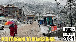 Mcleodganj and bhagsunag witnesses heavy snowfall in 20244k WALKING TOUR [upl. by Bria958]