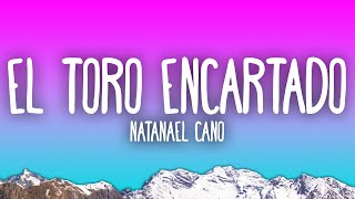 Natanael Cano  El Toro Encartado [upl. by Eilarol917]