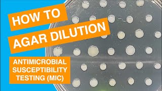 Agar Dilution MIC Susceptibility Test Method [upl. by Teloiv]