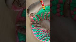 shorts  Paydan Banane Ka Tarika  How To Make Doormat ytshorts Doormat Making At Home [upl. by Eniotna]