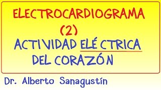 Electrocardiograma 2 Actividad Eléctrica del Corazón [upl. by Dnob390]