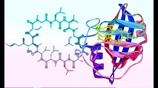 Covid uses Cyclophilin  Failed Biochemist Season 2020 ep 44 [upl. by Small40]