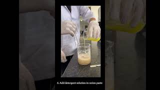 DNA Isolation from Onion  MPharm Research Lab Insight [upl. by Ecyle254]