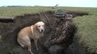 Wildfowling in Scotland [upl. by Onilegna975]