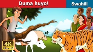 Duma huyo  There comes the Tiger in Swahili  Swahili Fairy Tales [upl. by Acirem]