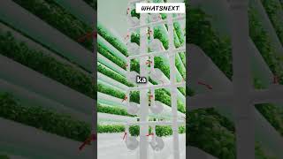 quotVertical Farming The Future of Food Grown in Citiesquot VerticalFarmingFutureOfFood [upl. by Une]