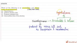 Which of the following is an accumulation and release centre of neurohormones [upl. by Wavell519]