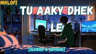 TU AAKY DHEK LY SLOWED amp REVERB KING MKLOFI [upl. by Nevaeh]