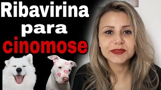 Melhor remédio para cinomose Ribavirina DMSO Melhor que quiabo para cinomose [upl. by Arlina]