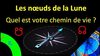 Les noeuds de la Lune  notre chemin dévolution [upl. by Eelarac]