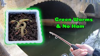 Winter Creek Fishing New Worms New Spot and Meeting New People [upl. by Ahcsap]