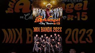 Banda Arkangel R15 El Borrego En Vivo [upl. by Haroved47]