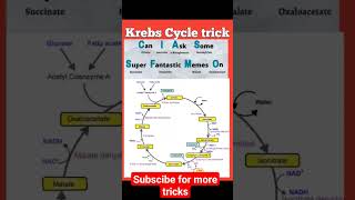 Krebs cycle trick  Mnemonics of Biology  NEET 2024 neet neet2024 neetmotivation [upl. by Chap671]