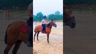 Horse Walking  Horse Trotting  Horse Cantering  Horse Galloping horse equestrian horseriding [upl. by Trebornhoj942]