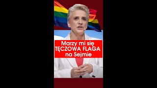 Dlaczego nie ma flagi tęczowej w Sejmie [upl. by Judi968]