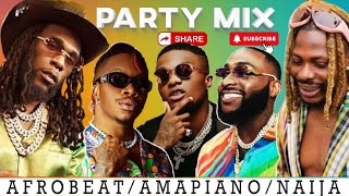 NEW AFROBEATS 2024 VIDEO MIX 🔥 NAIJA 2024 VIDEO MIX 🔥 AYRA STARR BURNA REMA DAVIDO WIZKID [upl. by Parhe]