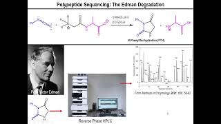 Lec11  Amino Acid Sequencing and the Edman Degradation [upl. by Gnivre517]