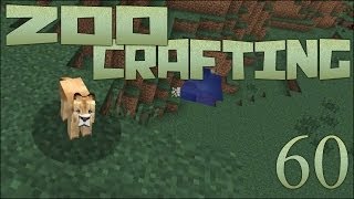 Orphaned Cougar Cub 🐘 Zoo Crafting Episode 60 [upl. by Arol765]