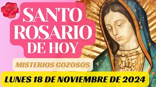 🌹 EL SANTO ROSARIO DE HOY LUNES 18 de NOVIEMBRE 🌹  MISTERIOS GOZOSOS [upl. by Sheeree]