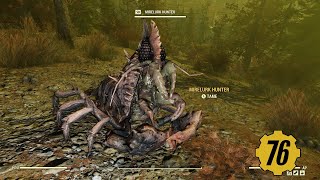 MIRELURK CAZADOR  FALLOUT 76  DESAFIO [upl. by Urina849]