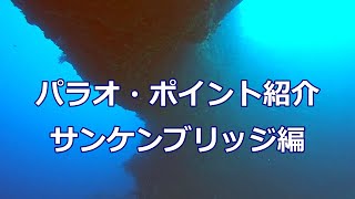 パラオのダイビングポイント紹介 サンケンブリッジ編 [upl. by Lekcim]